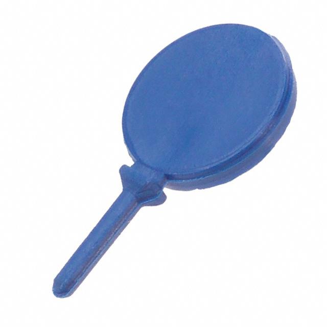Picture of CWN-KEY1