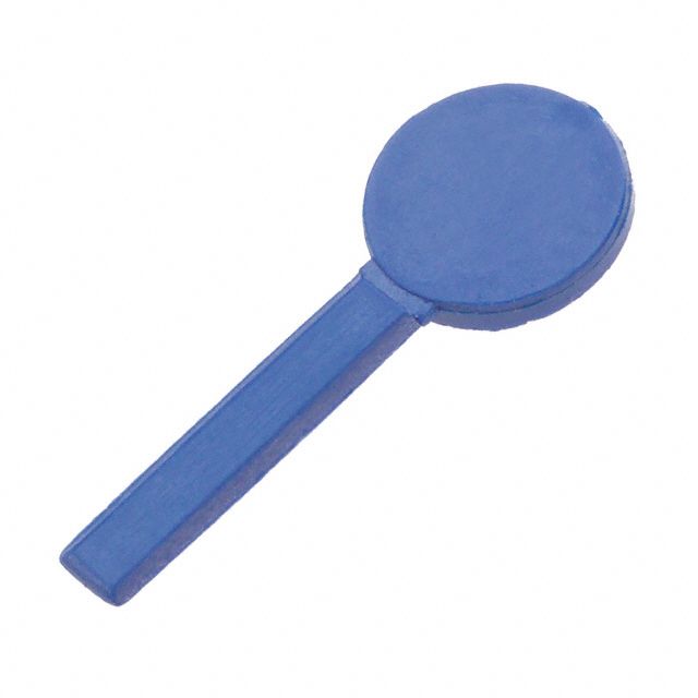 Picture of CWN-KEY2