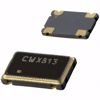 Picture of CWX813-024.0M