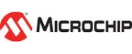 Microchip Technology